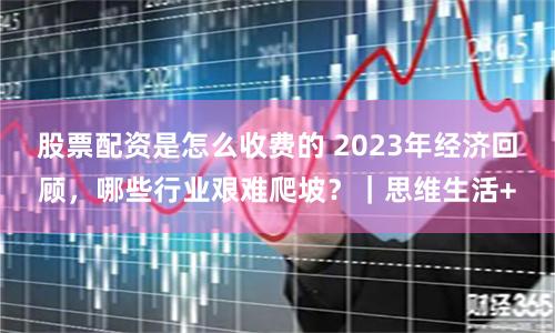 股票配资是怎么收费的 2023年经济回顾，哪些行业艰难爬坡？｜思维生活+